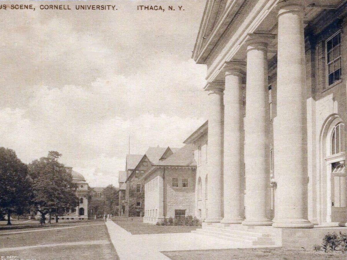 Education — Schools & Colleges